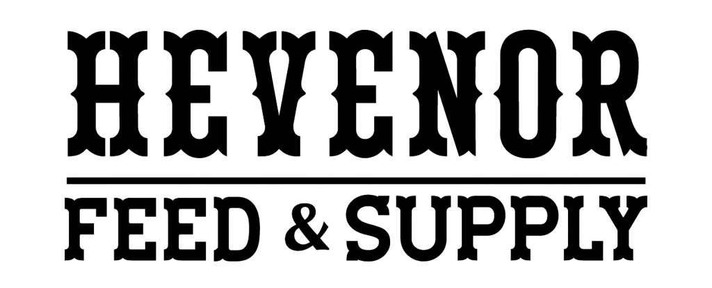 logo main